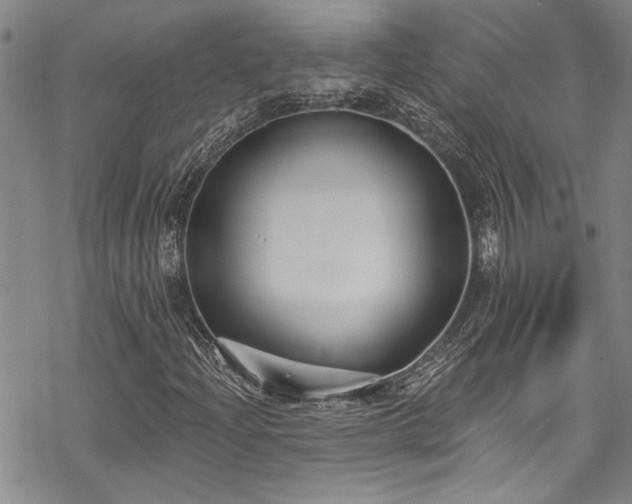 X0000069841204200605221223