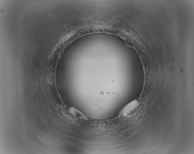 X0000069841207200605221223