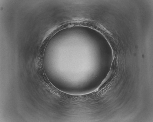 X0000069841208200605221223