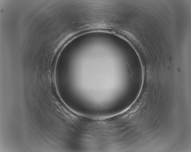 X0000069841212200605221223