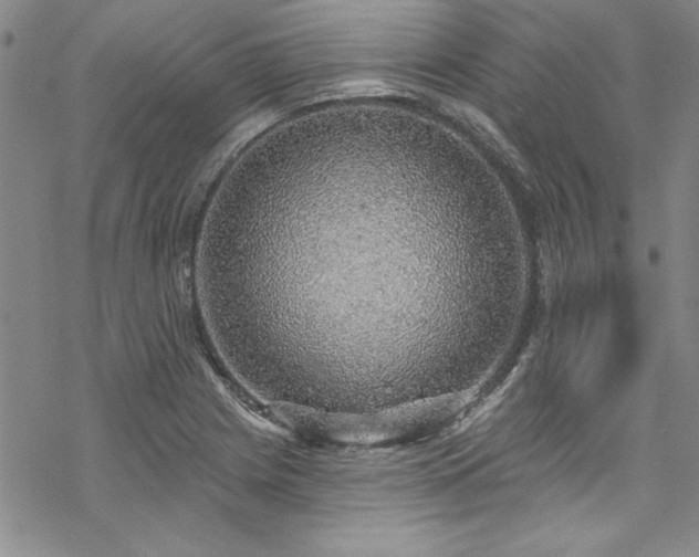 X0000069841225200605221224