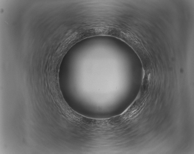 X0000069841249200605221223