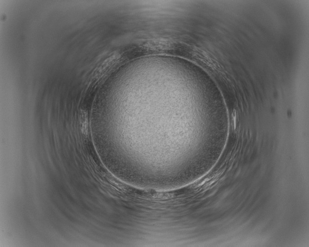 X0000069841251200605221223