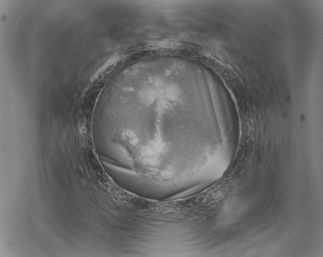 X0000069841254200605221223