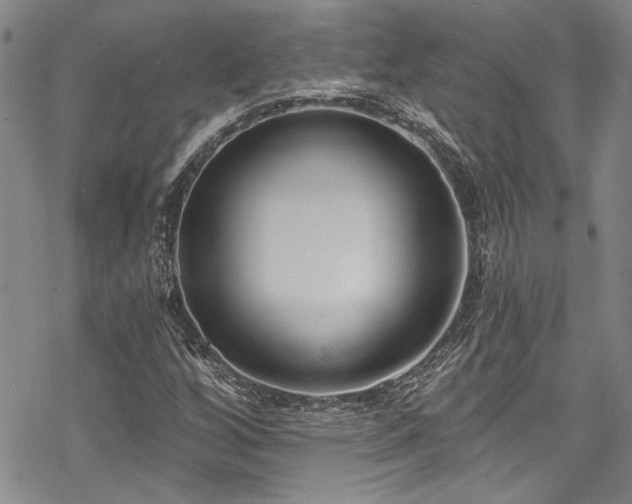 X0000069841256200605221223