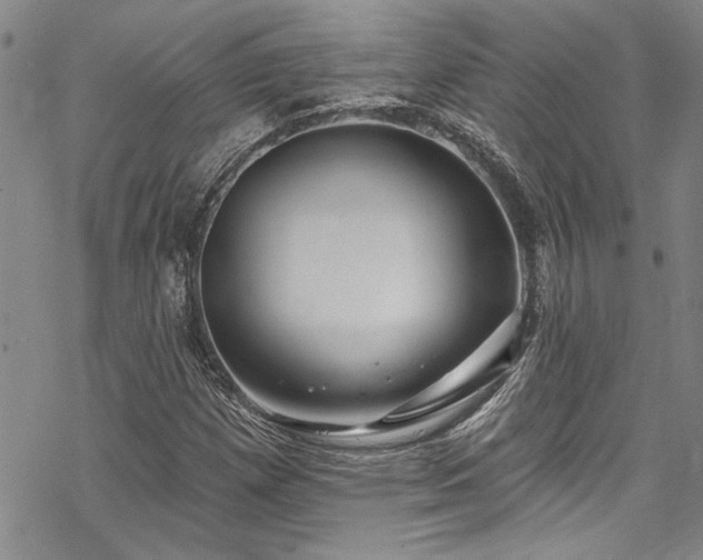 X0000069841257200605221223