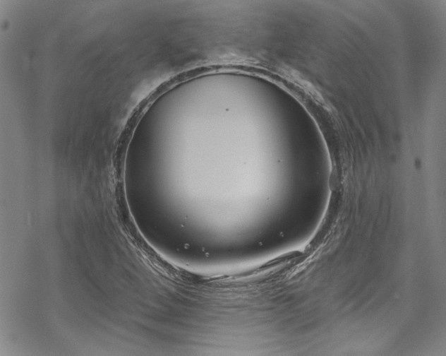 X0000069841264200605221223