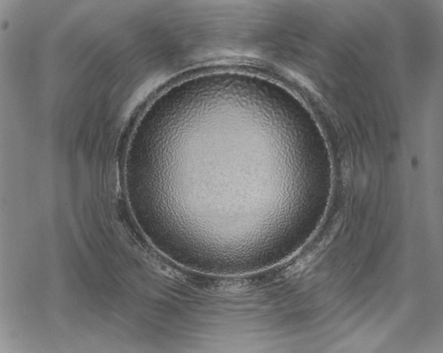 X0000069841267200605221223