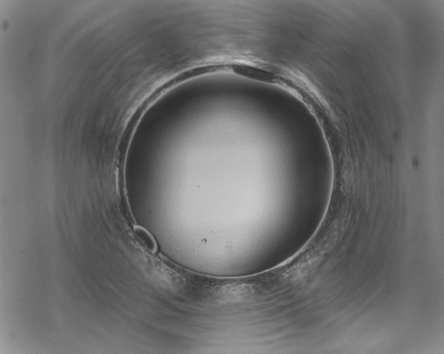 X0000069841268200605221223