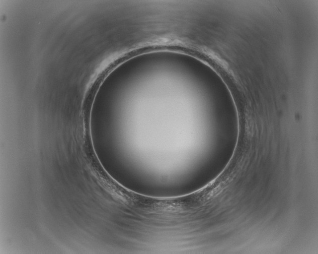 X0000069841270200605221223