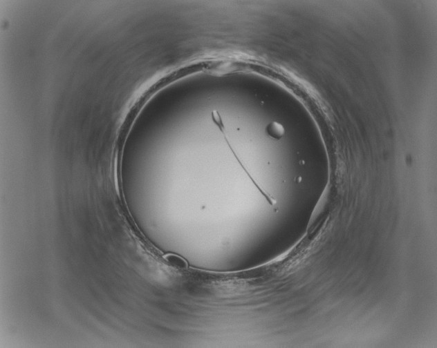 X0000069841272200605221223