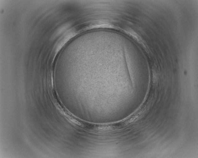 X0000069841274200605221223