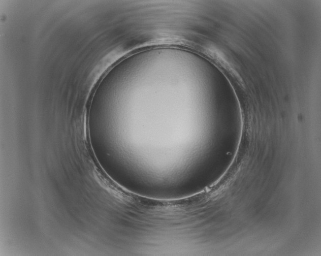 X0000069841276200605221223