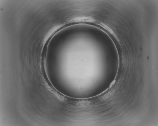 X0000069841277200605221223