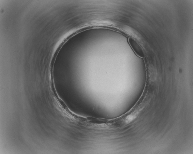 X0000069841280200605221223