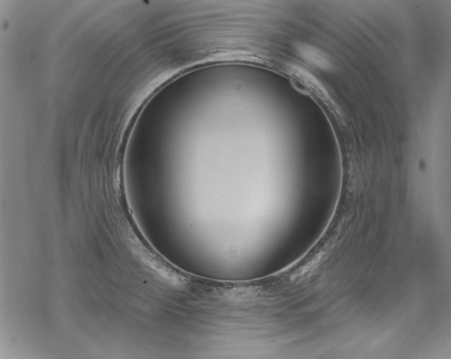 X0000069841284200605221223