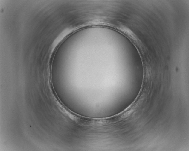 X0000069841286200605221223