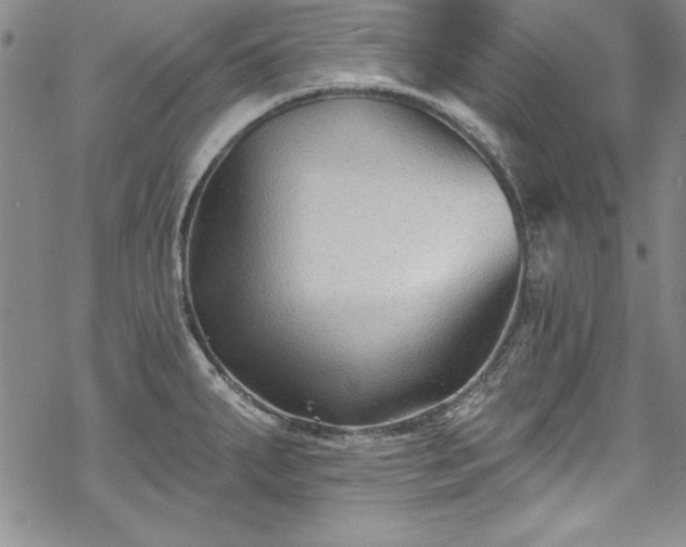 X0000069841287200605221223