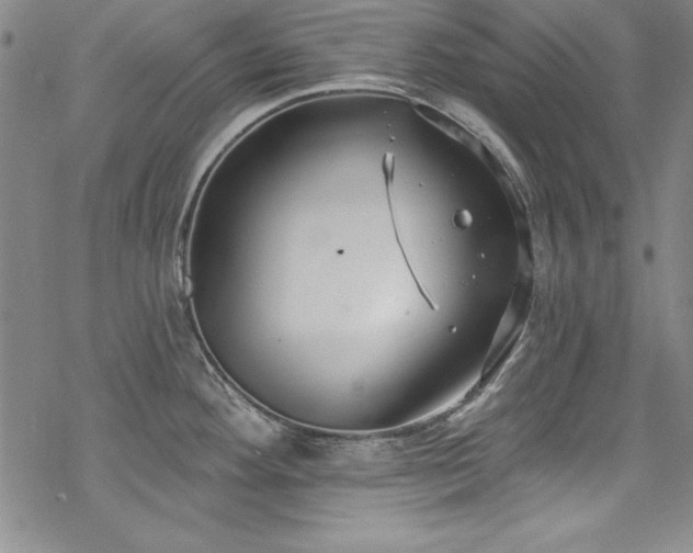 X0000069841292200605221223