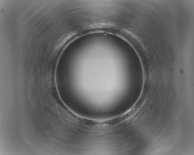 X0000069841313200605221222