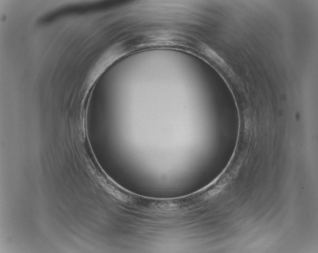X0000069841370200605221221