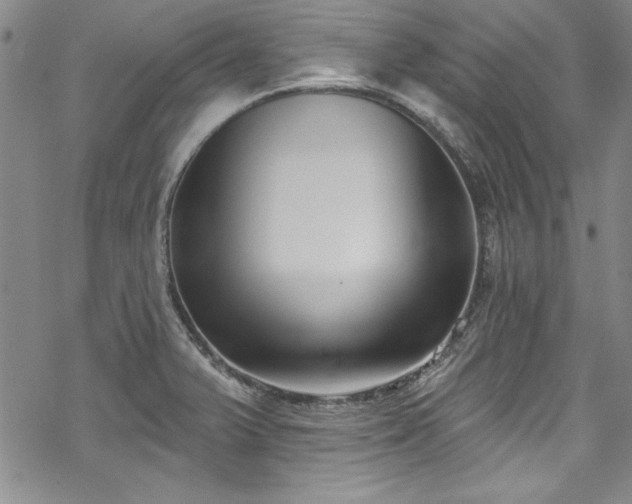 X0000069841375200605221221