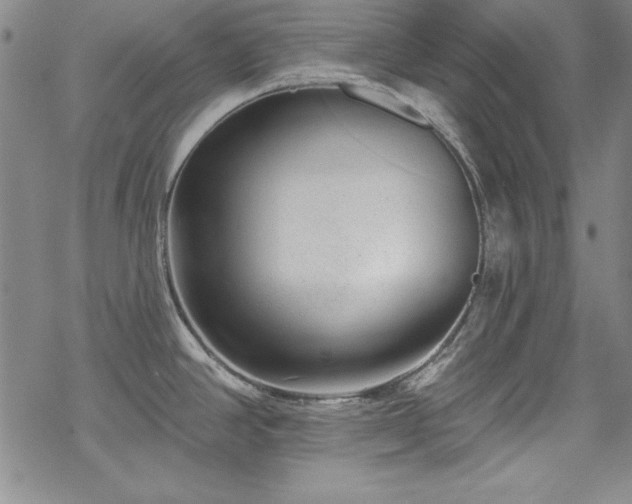 X0000069841390200605221221