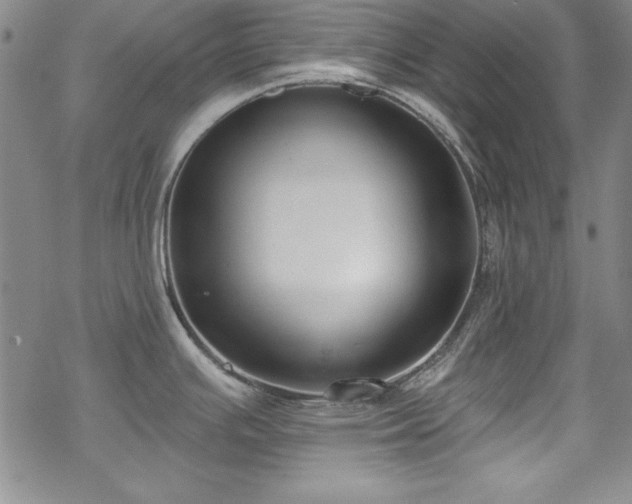 X0000069841391200605221221
