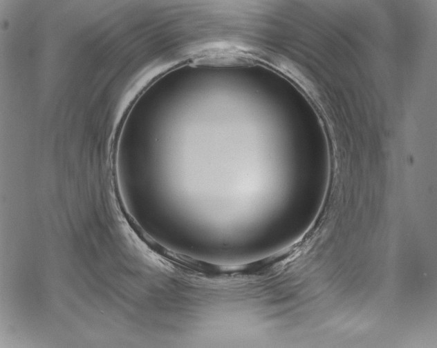 X0000069841392200605221221