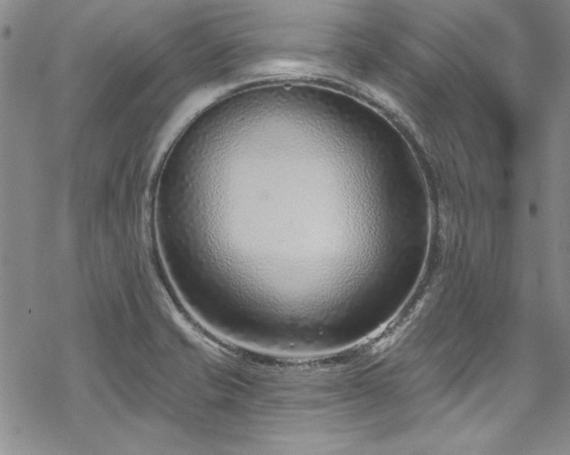 X0000069841421200605221221