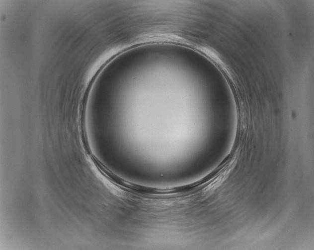 X0000069841438200605221221