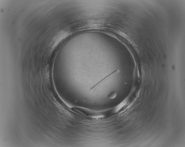 X0000069841450200605221220