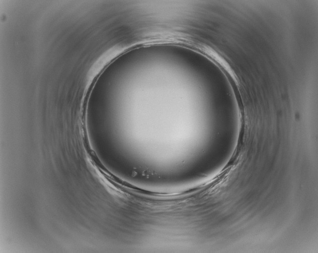 X0000069841485200605221219