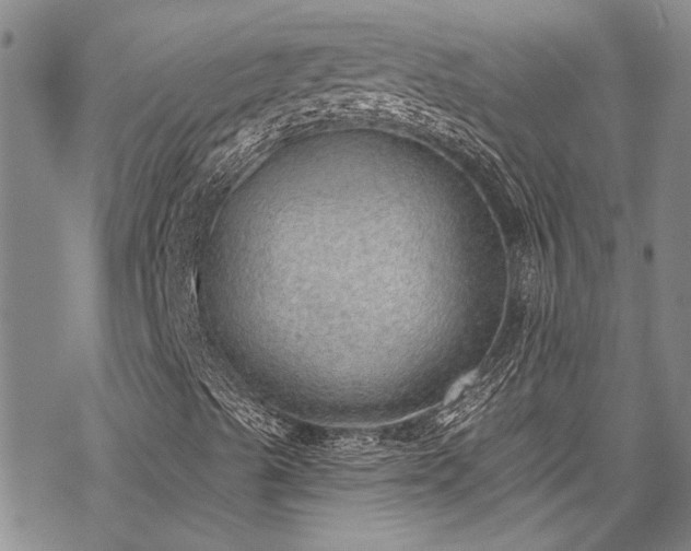 X0000069841489200605221219