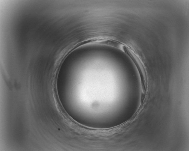 X0000069840001200605261919