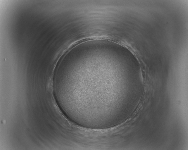 X0000069840002200605261919