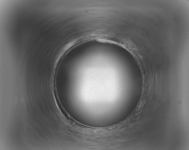 X0000069840003200605261919