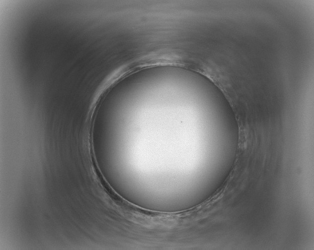 X0000069840004200605261919