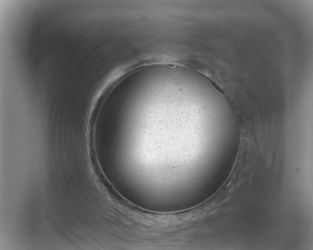 X0000069840006200605261919