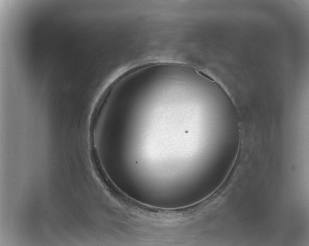 X0000069840008200605261919