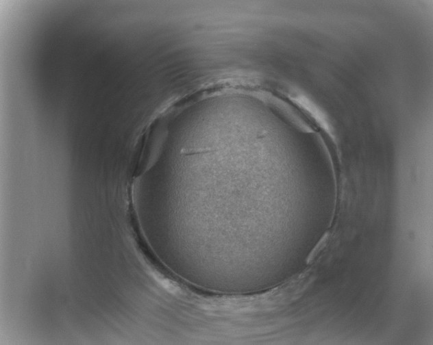 X0000069840009200605261919