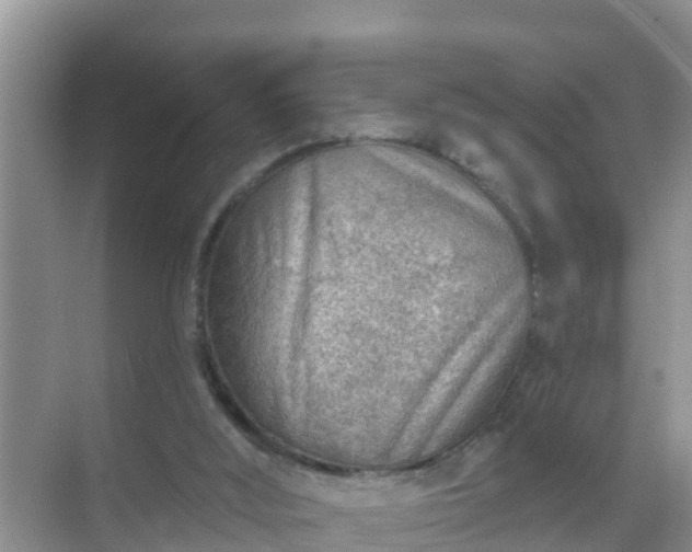 X0000069840012200605261919