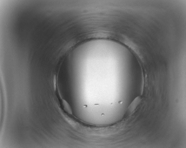 X0000069840013200605261919