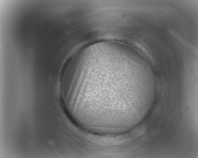 X0000069840016200605261918