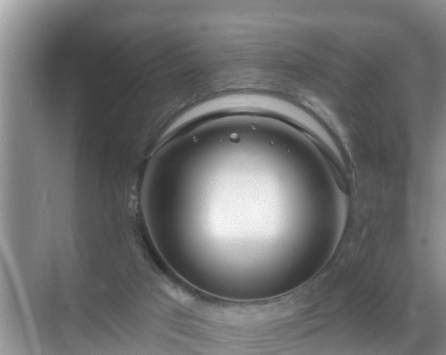 X0000069840017200605261918