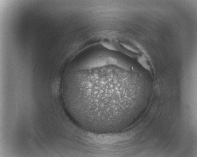 X0000069840018200605261918