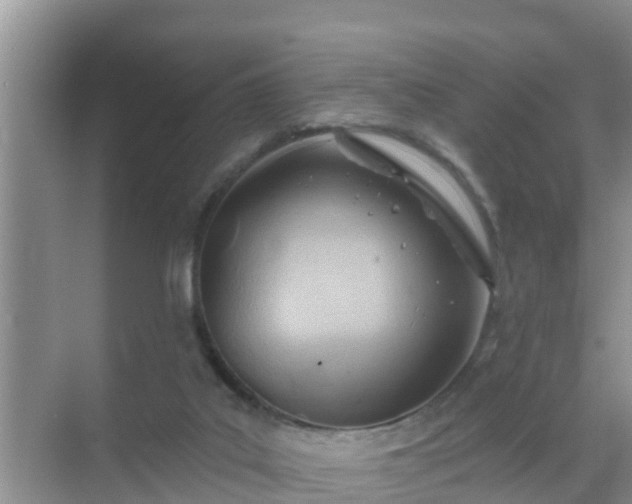 X0000069840019200605261918