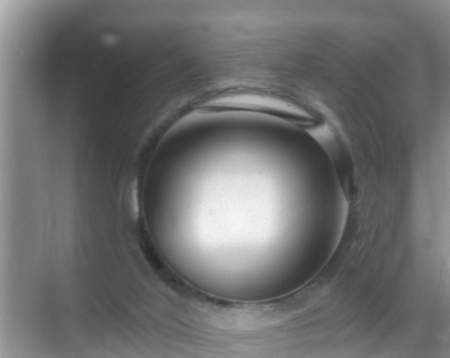 X0000069840020200605261918