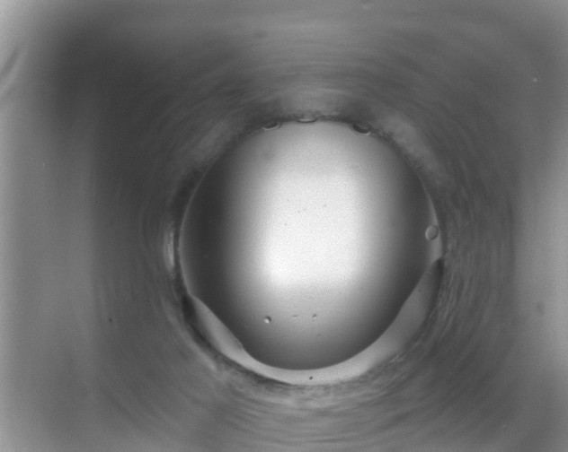 X0000069840021200605261918