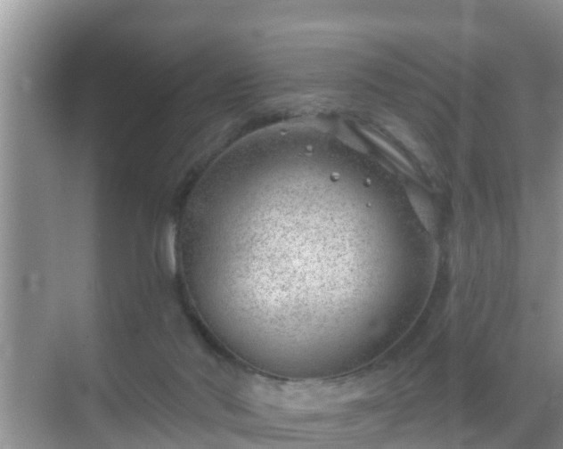 X0000069840022200605261918